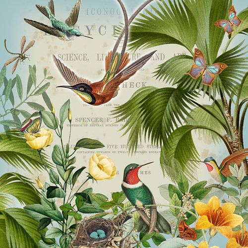 Free Spirits of the Air, Vintage Version