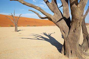 Namibië, Sossusvlei