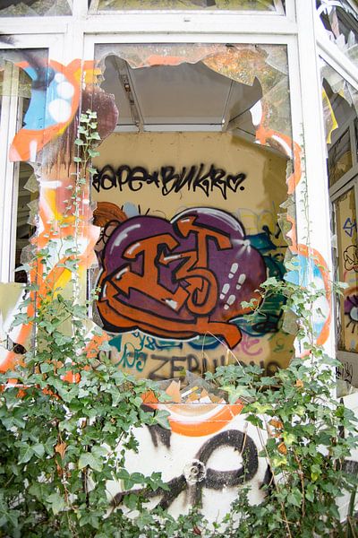 doel van marijke servaes