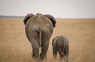 Olifanten in Kenia van Heleen Middel thumbnail