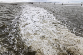 Foto's van Bensersiel en het Noordzee-eiland Langeoog. van Bianca Meyering Fotos - BMF