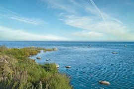 Küstenlandschaft mit Meer und Büschen unter blauem Himmel von Martin Köbsch