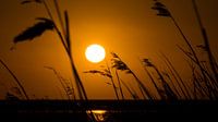 Zonsondergang