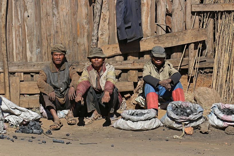 Houtskoolverkopers in Madagaskar van Antwan Janssen