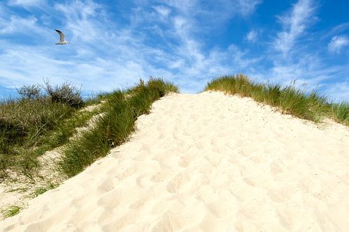 Rügen sur Reiner Würz / RWFotoArt