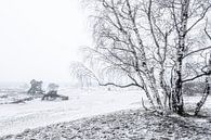 Hulshorsterzand in de sneeuw van Eddy Westdijk thumbnail