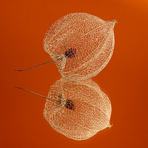 Oranje!... met een lampionnetje