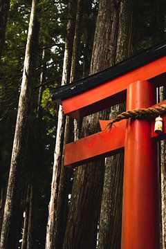 Japanisches Torii im Wald bei Koyasan. von Erik de Witte