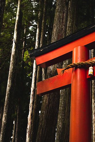 Japanse Torii, Koyasan.