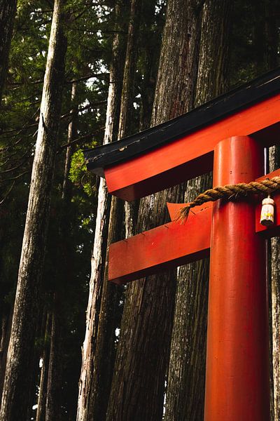 Torii japonais dans la forêt près de Koyasan. par Erik de Witte