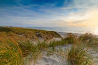 Sonnenuntergang an der Nordsee in der Nähe der Dünen von Petten 