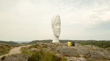 Stille reus - Monumentaal hoofd boven het kustlandschap van Sven Schleider