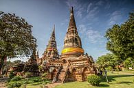 Tempel in Ayutthaya von Levent Weber Miniaturansicht