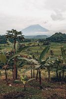 Paradijselijk Uitzicht: Rijstvelden en Mount Agung in Betoverend Bali