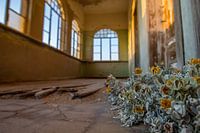 Kolmanskop, Namibie