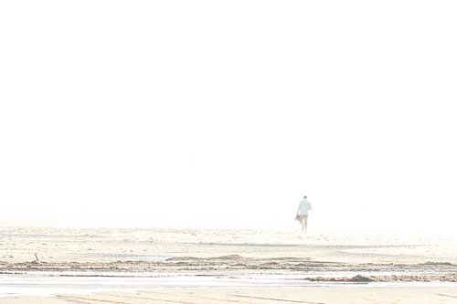 Whiteout by Cho Tang