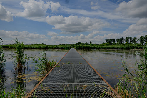 Naturlehrpfad in der Noorderdiep-Zone in Dordrecht