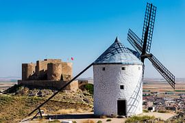 Windmolens en kasteel by Maerten Prins