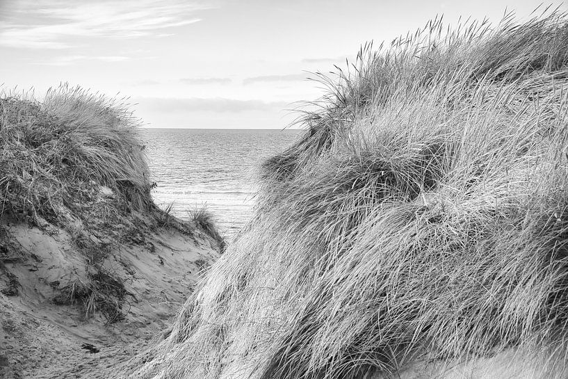 Beach crossing in Denmark in black and white by Martin Köbsch