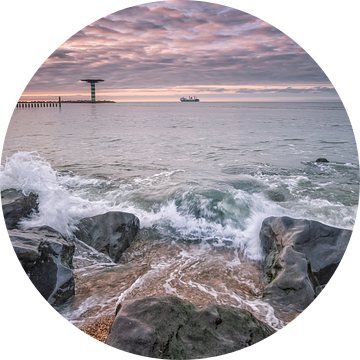 Verlaat de veilige haven van Sander Poppe