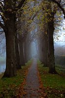 De weg naar de herfst