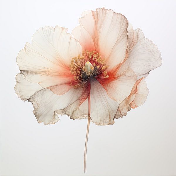 Flower by Bert Nijholt