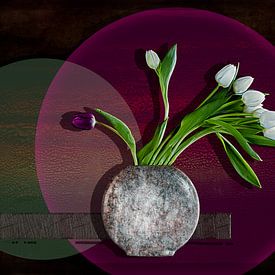 Weiße Tulpen, die eine violette unterscheiden von Henny Verbeek