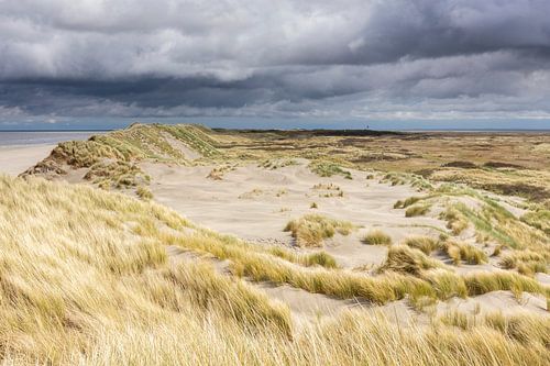 Amelander duinen op het Oerd - Natuurlijk Ameland