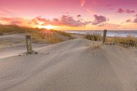 Pastel Sunset in the Dunes of The Hague