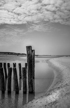 Paysage de mer en noir et blanc