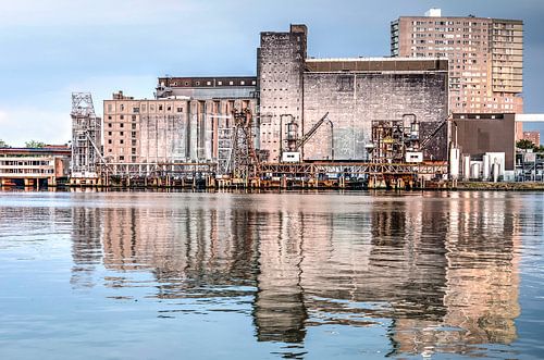 Maassilo reflected in Maashaven