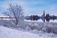 Blick über die Warnow auf die Hansestadt Rostock im Winter von Rico Ködder Miniaturansicht