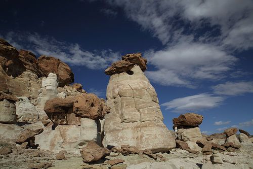 Hoodoo Forest (Rimrocks North) Grand Staircase-Escalante National Monument in zuidelijk Utah, Vereni