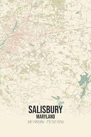 Vintage landkaart van Salisbury (Maryland), USA. van Stad & Wand