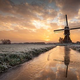 Warm glow on cold morning by Halma Fotografie
