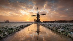 Warm glow on cold morning van Halma Fotografie