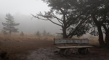 The silence of a misty morning