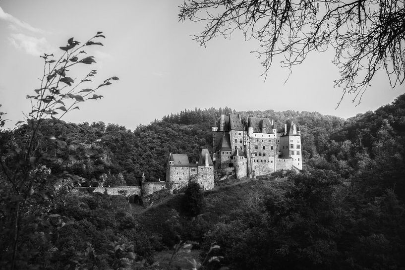Mittelalterliche Burg in Deutschland | Schwarz-Weiß-Fotografie | Fototapete von Laura Dijkslag