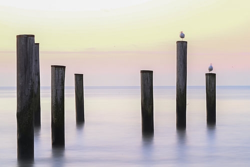 Daydreaming by the seaside at sunset