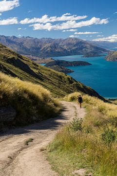 Roys Peak, Lake Wanaka van Willem Vernes