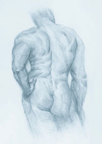 Sketch Man Nude back view brooklyn blue par Krista Kitsz Art