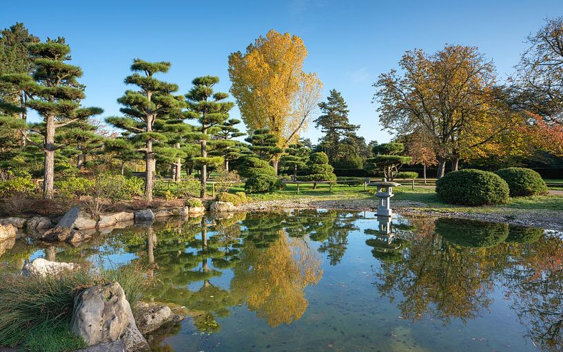Japanese Garden, Düsseldorf, Germany by Alexander Ludwig