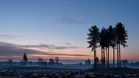 Landgoed Den Treek 2