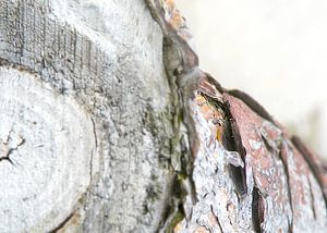 StrandGut no9 | flotsam and jetsam no9