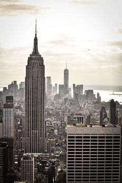 Het Empire State Building van Milan Markovic