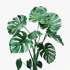 Monstera by Poster Art Shop