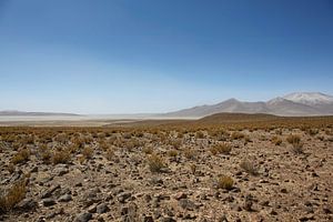 Farallon de Tara, het plateau met uitzicht op het zoutmeer, het natuurreservaat Salar de Tara, San P