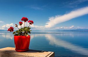 Sommer am Shkoder-See, Albanien