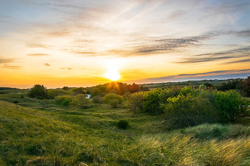 Zonsondergang in de duinen