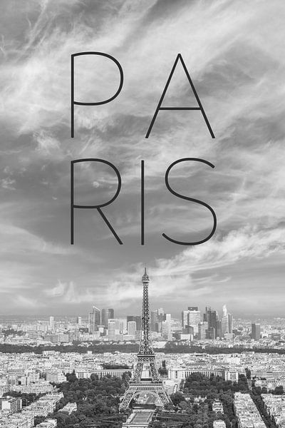 View from Montparnasse Tower Observation Deck by Melanie Viola